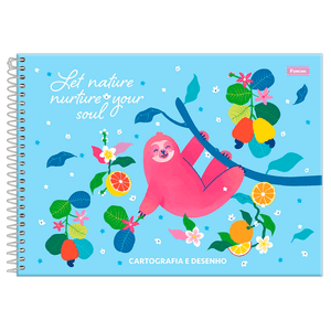 Cartografia C.D. 80 Fls Foroni - Amazzu 2